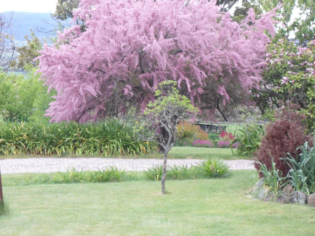Roslyn House Bed & Breakfast Bushy Park Екстериор снимка