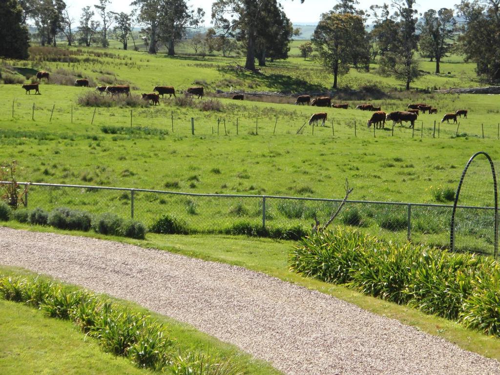 Roslyn House Bed & Breakfast Bushy Park Екстериор снимка