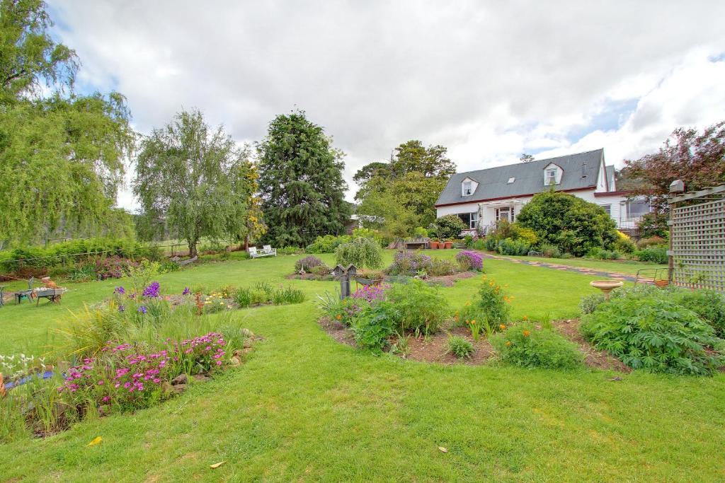 Roslyn House Bed & Breakfast Bushy Park Екстериор снимка