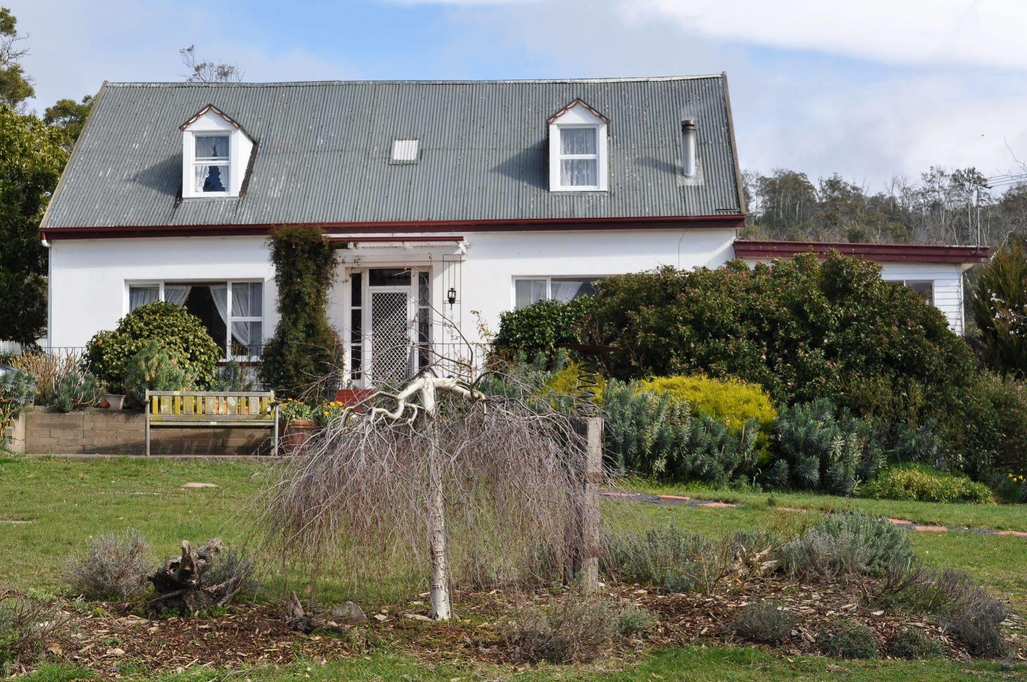 Roslyn House Bed & Breakfast Bushy Park Екстериор снимка