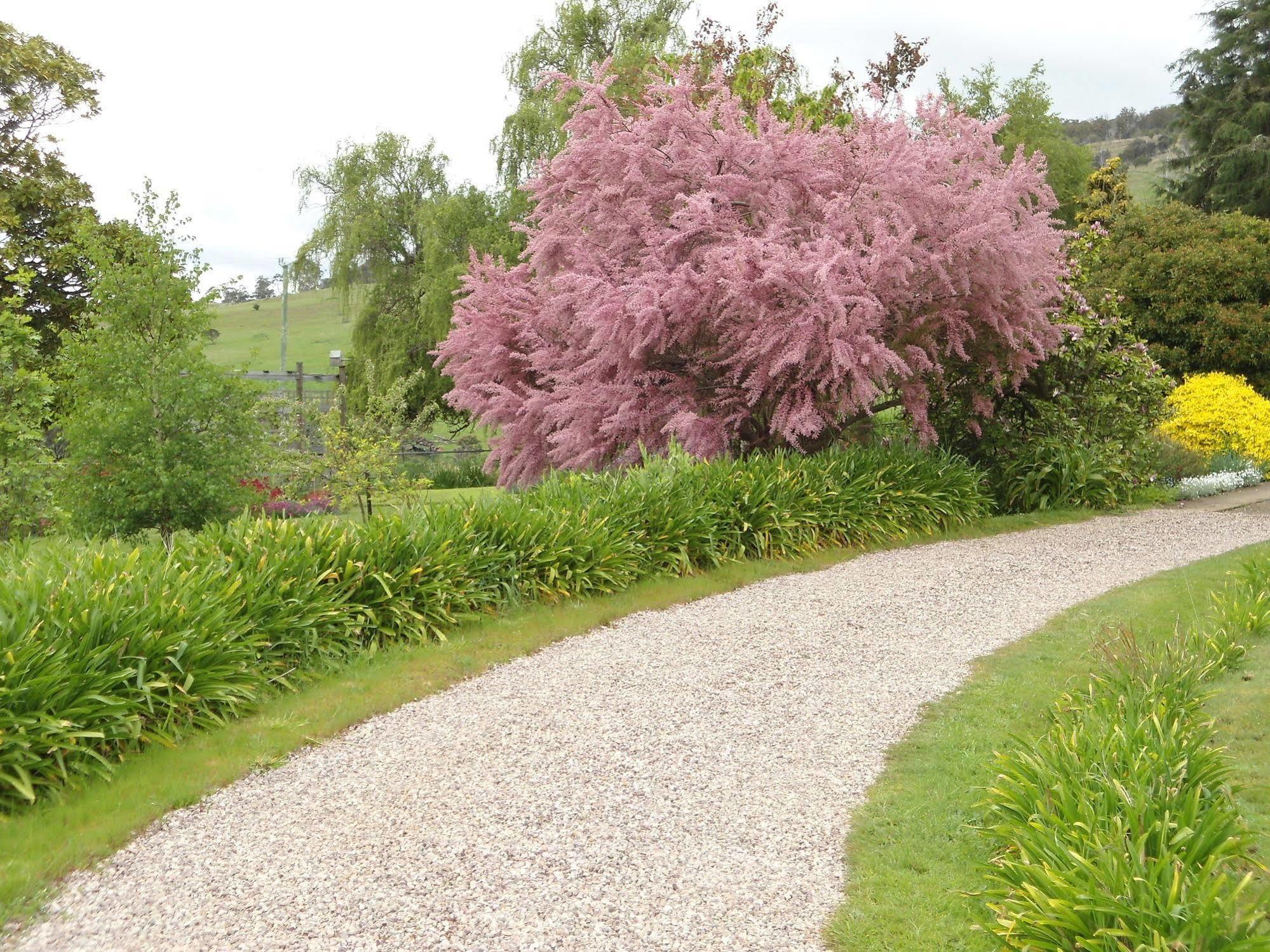 Roslyn House Bed & Breakfast Bushy Park Екстериор снимка