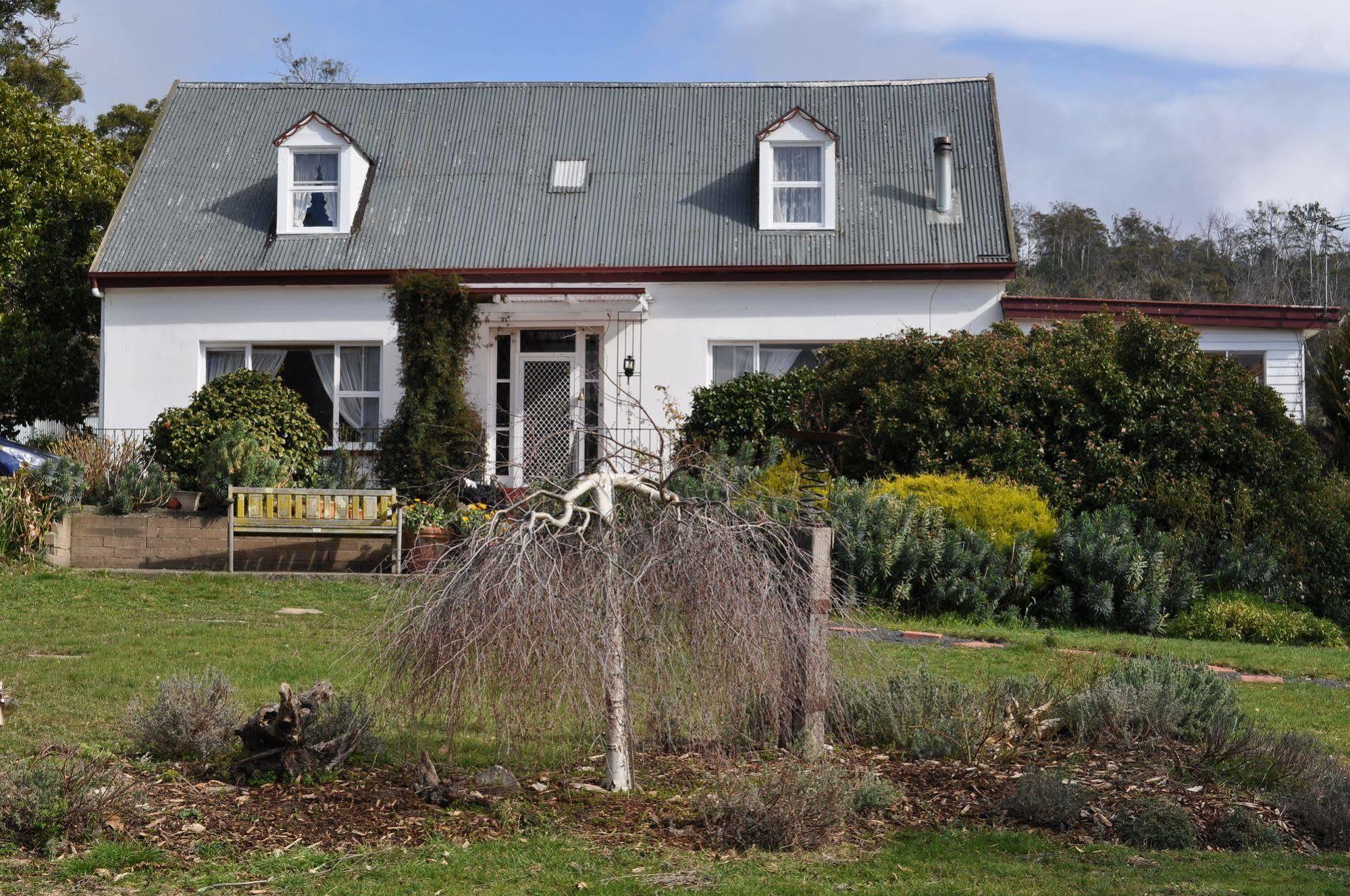 Roslyn House Bed & Breakfast Bushy Park Екстериор снимка