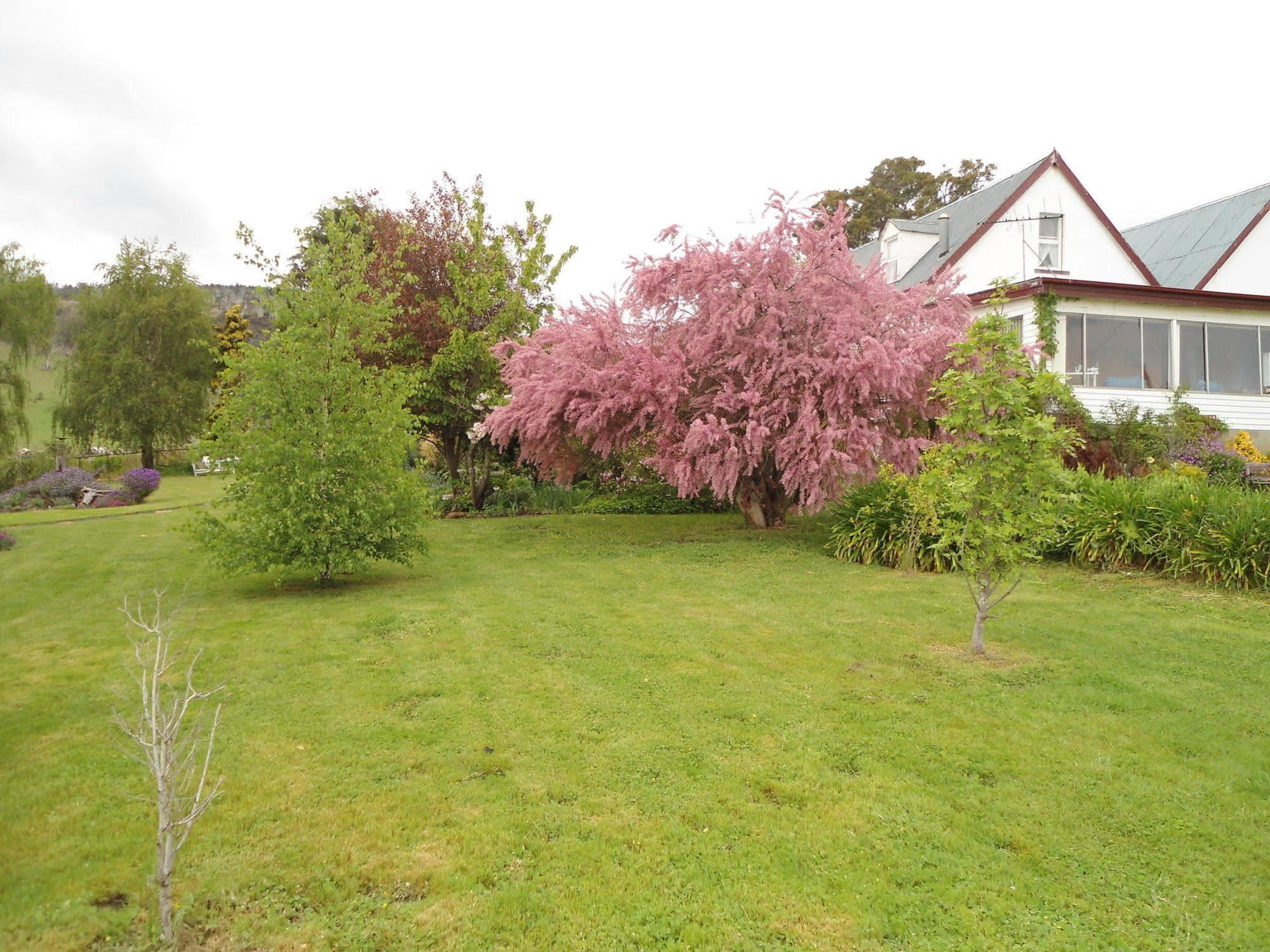 Roslyn House Bed & Breakfast Bushy Park Екстериор снимка