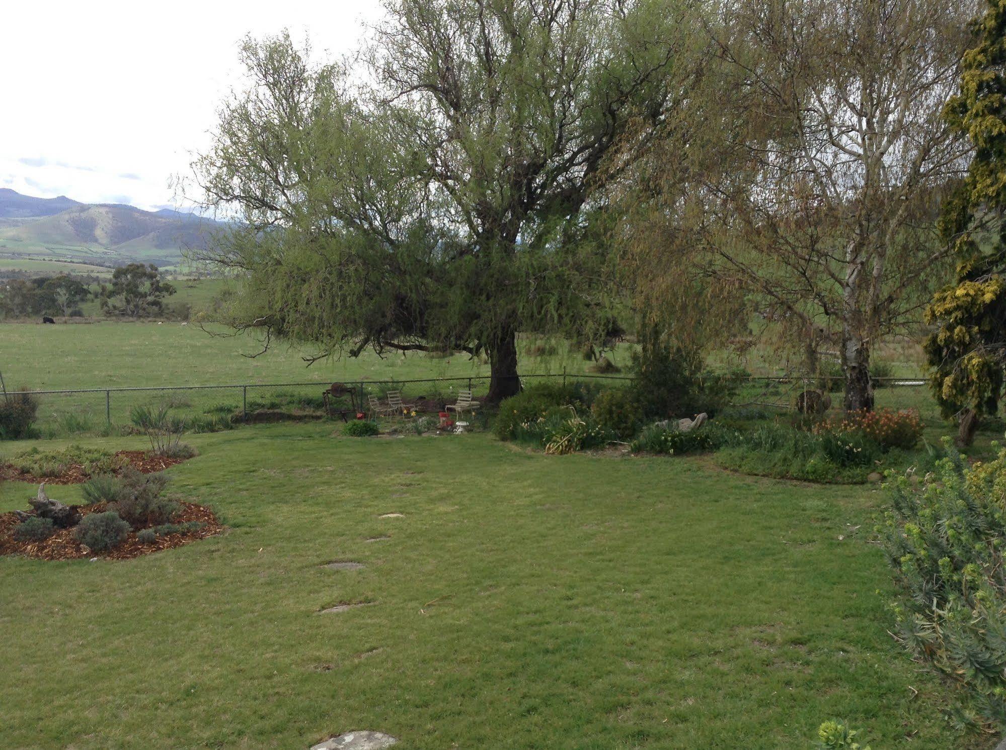 Roslyn House Bed & Breakfast Bushy Park Екстериор снимка